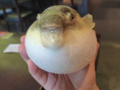 -永安鱼庄·镇江菜(东吴路店)