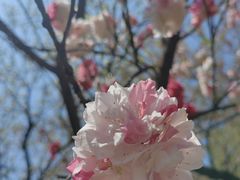 -苏州上方山国家森林公园