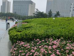 -泉城广场
