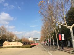 -柚见鲜茶(淮阴师范店)