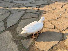 -许家山