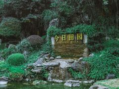 -郫都区农科村景区