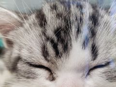 -龟与熊猫宠物公园(南坪店)