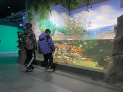 -常州海昌海洋探索馆