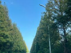 -盐城丹顶鹤湿地生态旅游区