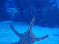 -成都浩海立方海洋公园