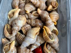 -铭聚章鱼土笋冻(松柏店)