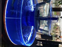 -佬麻雀·剁椒鱼头(京基KK One店)