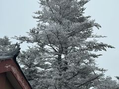 -峨眉山风景名胜区