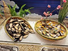 -熊猫自助餐厅.萌趣城堡(长隆熊猫酒店)