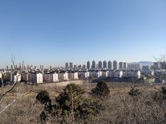 -府君山公园
