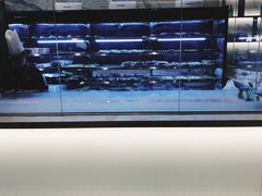 -长嘉·河图火锅(长嘉汇江景旗舰店)