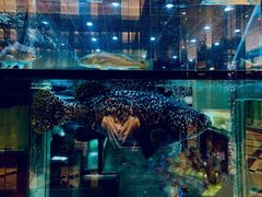 -金翠皇宫粤菜·点心·海鲜(科技园店)