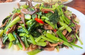 Garlic Sautéed Deer Horn Mushroom