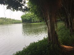 -三水森林公园