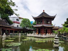 -碧江金楼
