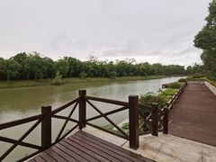 -上海海湾国家森林公园