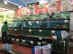水产区-源海渔村·现捞海鲜(大角湾店)