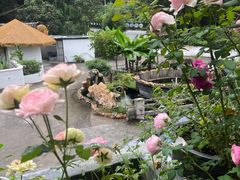 -一朵花事咖啡厅(山原色民宿店)