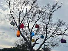 -苏州太湖西山岛开心农场