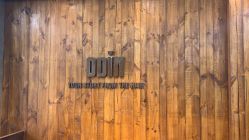 -ODIN 奥丁形象设计 