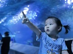 -太平洋海底世界