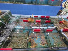 -七鲜渔港美食餐厅(巽寮湾海景店)
