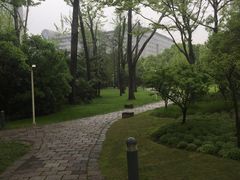 -新虹桥中心花园