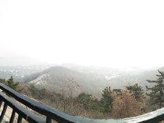 -石老人观光园
