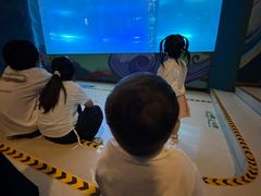 -洛阳龙门海洋馆
