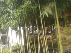 -海鸿荟·沿江菜(中山北路店)