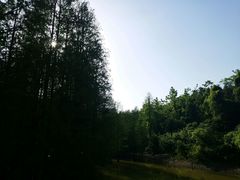 -青龙山国家森林公园