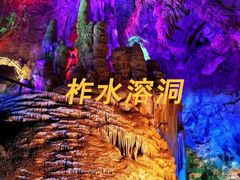 -牛背梁国家森林公园