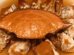 -甄御•海鲜新青岛菜(麦岛店)