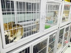 -FAELING PETS美天灵宠物(富力广场店)