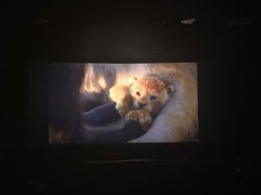 -大光明丽星VIP影城(昌里路杜比全景声店)