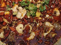 -胡马八破·川菜小馆(高新万达店)