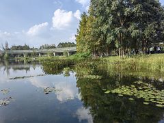 -白鹭湾湿地公园