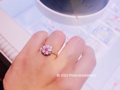 木兰花系列-Pandora潘多拉珠宝(虹口龙之梦店)