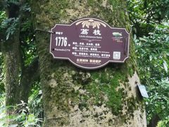 -张坝桂圆林公园