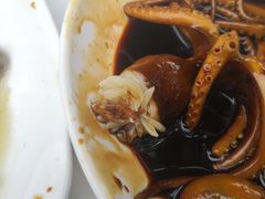 -大树下饭店(春晓镇慈岙社区卫生服务站南)