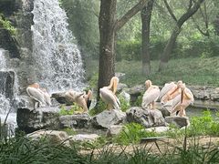 -北京野生动物园