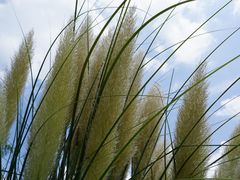 -南京市无想山景区