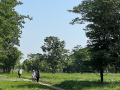 -汉长安城未央宫国家考古遗址公园