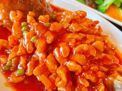 松鼠桂鱼-德兴馆(广东路总店)