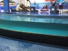 -重庆欢乐海底世界