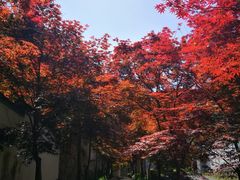 -莫干山风景区