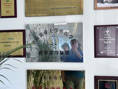 -北京观赏动物医院·24小时大型综合·猫专科·异宠专科