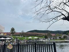 -南京银杏湖乐园