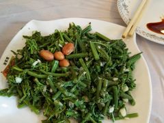 -京北渔家傲
